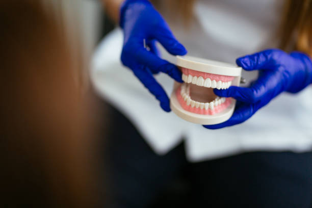 Best Dental Exams and Cleanings  in Maywood, IL