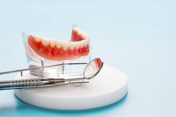 Best Dental Exams and Cleanings  in Maywood, IL